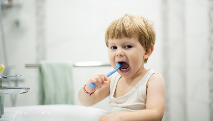 etapas del desarrollo dental infantil