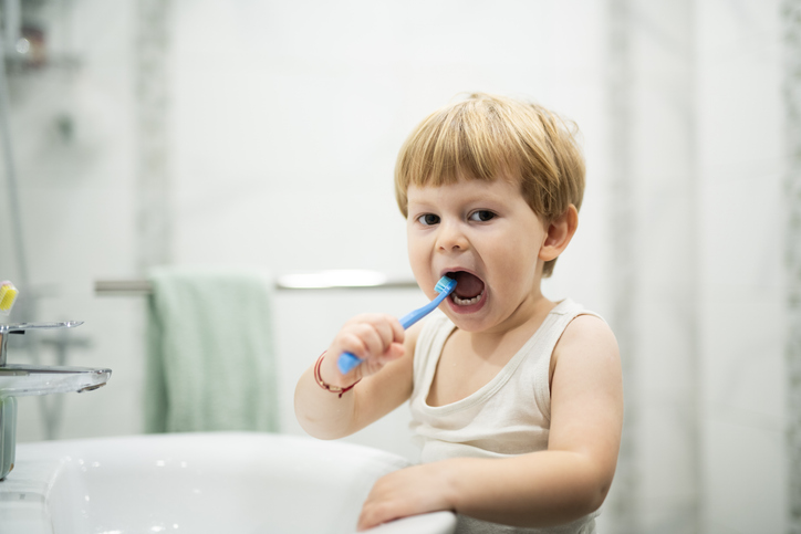 etapas del desarrollo dental infantil